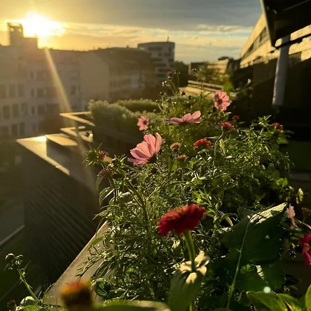 Penthouse 5 Duplex 3 Terraces, Near Center And Rhine