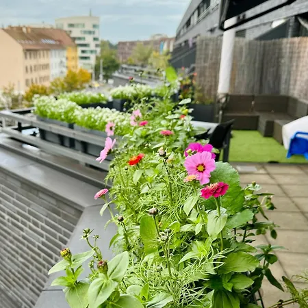 Penthouse 5 Duplex 3 Terraces, Near Center And Rhine Apartment Basel