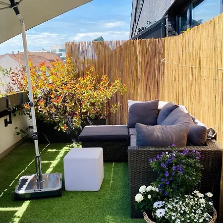 Apartment Penthouse 5 Duplex 3 Terraces, Near Center And Rhine